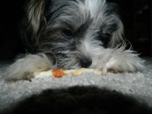 hundben